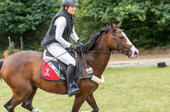Late-Entry-Vielseitigkeit Langenfeld (11.+13./14.06.2020)