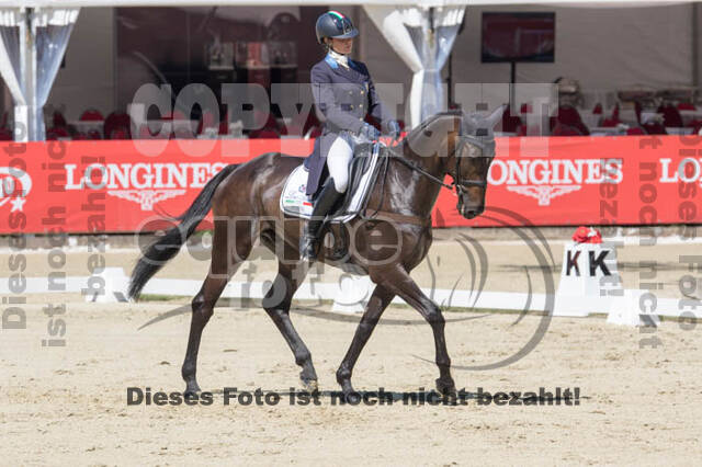 FEI European Championship