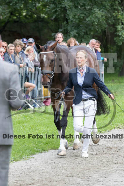 FEI European Championship Eventing 2017