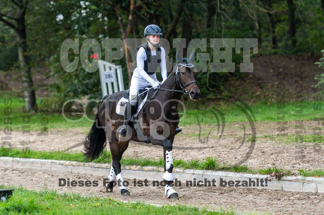 Reiter Schleswig-Holstein