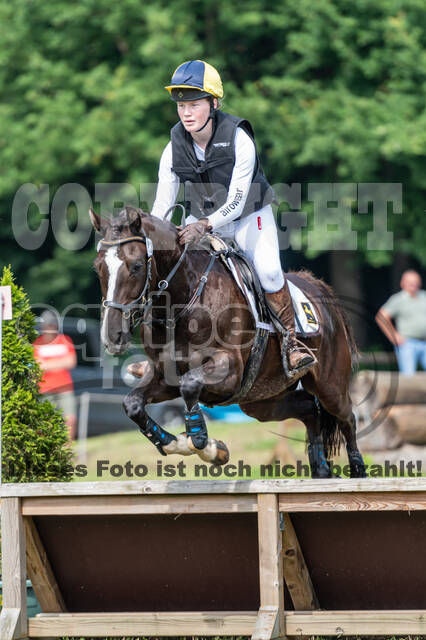 Goldene Schärpe 2021 - Ponys