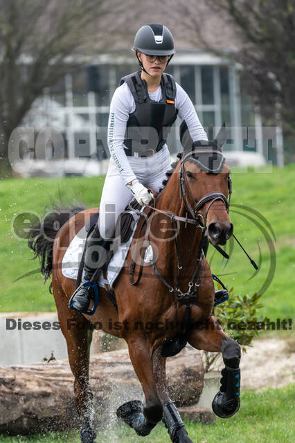 Goldene Schärpe 2020 - Pferde