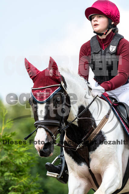 Goldene Schärpe 2021 - Ponys