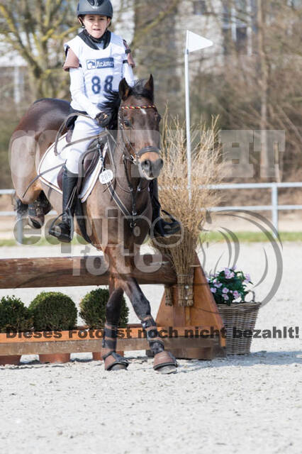 Eventing Langenfeld