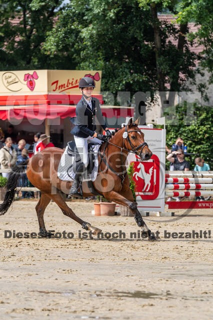 Goldene Schärpe 2021 - Ponys