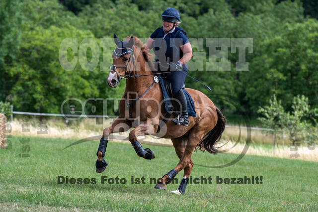 Bonn-Rodderberg Late-Entry-Vielseitigkeit (30.06.2020)