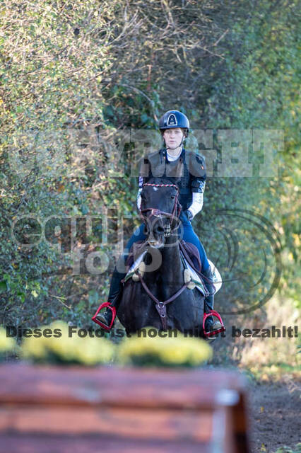 Vielseitigkeitslehrgang mit Jürg Kurbel (9.+10.11.2019)