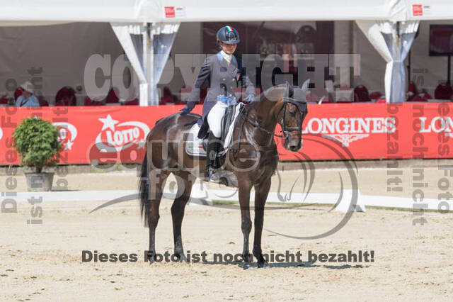 FEI European Championship