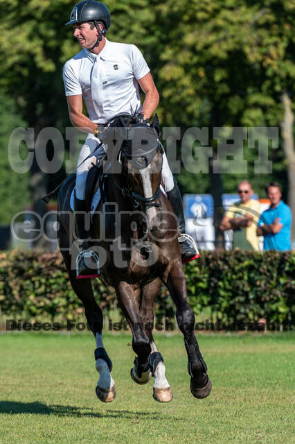 Kronenberg - De Peelbergen (August 2020)
