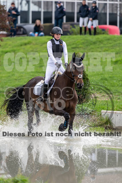 Goldene Schärpe 2020 - Pferde