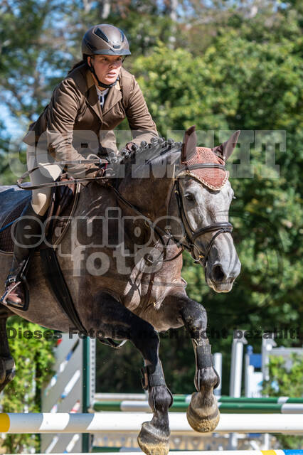 RFV Dinslaken-Hiesfeld (Herbstturnier)