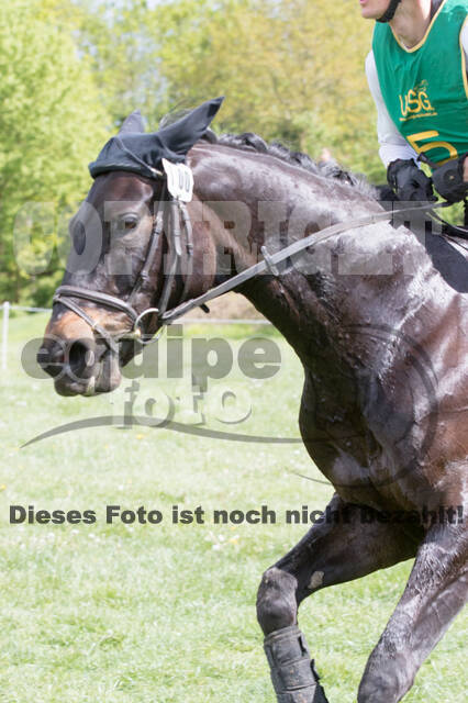 Sterne über Münster 2019 - CCI***S