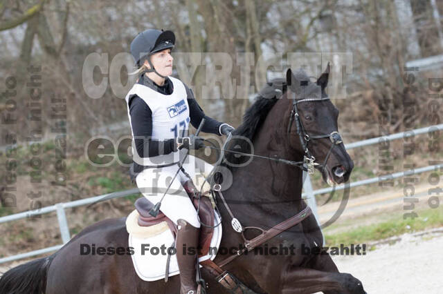 Eventing Langenfeld 2018