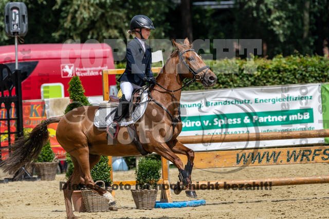 Goldene Schärpe 2021 - Ponys