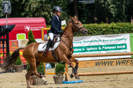 Goldene Schärpe 2021 - Ponys