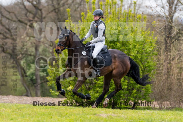 Maria Elisabeth Schulte Spechtel , Brexit S 