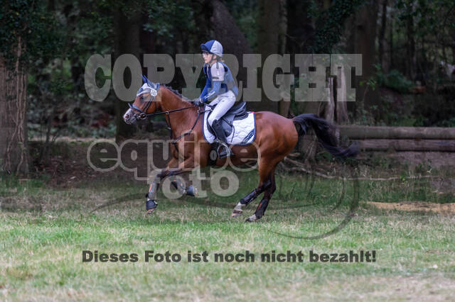 Late-Entry Vielseitigkeit Hamminkeln/Wesel (01.+02.08.2020)