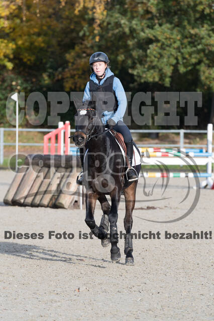 IGV Lehrgang der Sieger der Cups mit Frank Ostholt