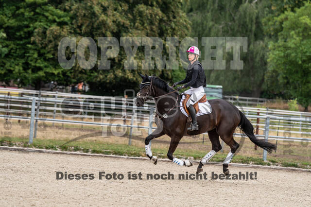 Late-Entry-Vielseitigkeit Langenfeld (11.+13./14.06.2020)