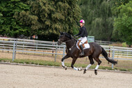 Late-Entry-Vielseitigkeit Langenfeld (11.+13./14.06.2020)