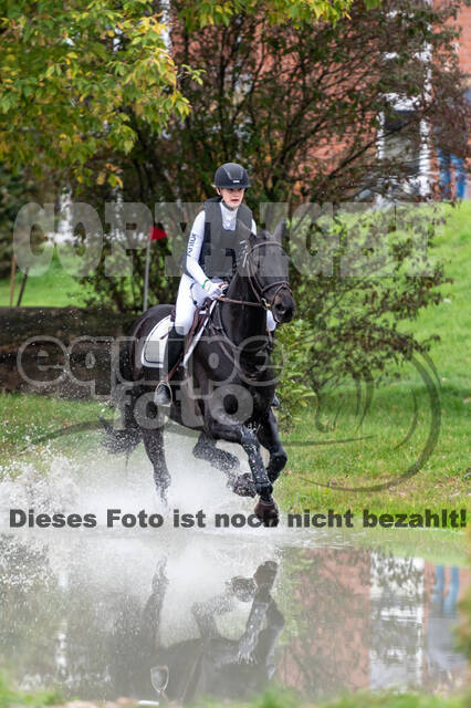 Goldene Schärpe 2020 - Pferde