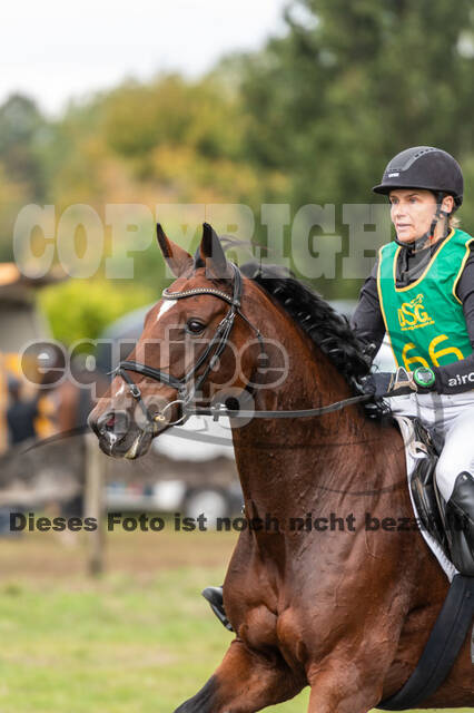 Vielseitigkeit RSV Wesel Obrighoven (26.+27.09.2020)
