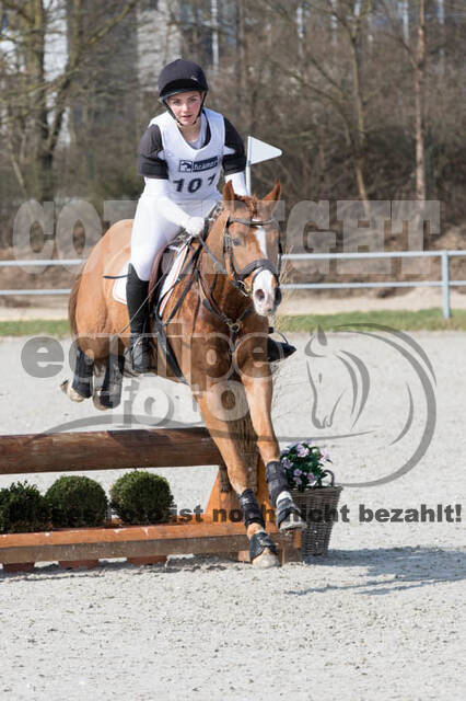 Eventing Langenfeld 2018