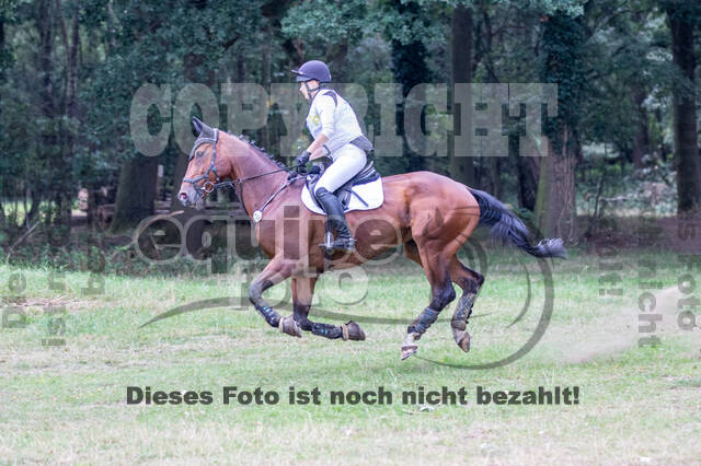 Late-Entry Vielseitigkeit Hamminkeln/Wesel (01.+02.08.2020)