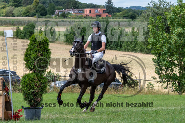 Bonn-Rodderberg Late-Entry-Vielseitigkeit (30.06.2020)