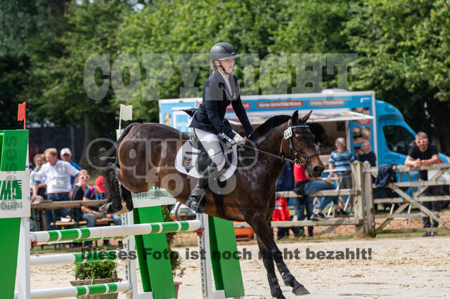 Goldene Schärpe 2021 - Ponys