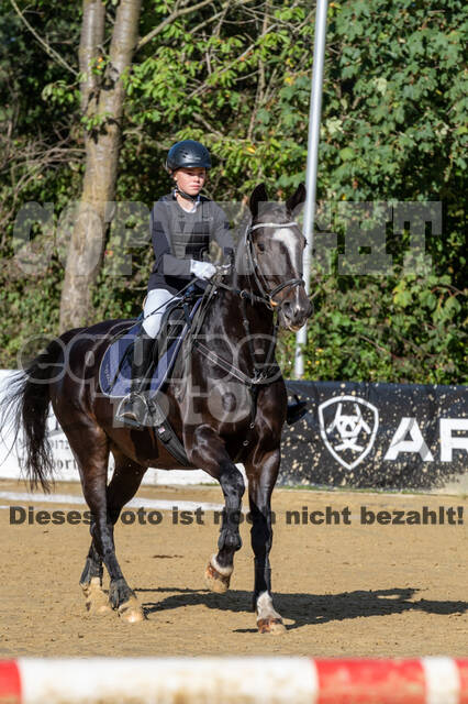 RFV Dinslaken-Hiesfeld (Herbstturnier)