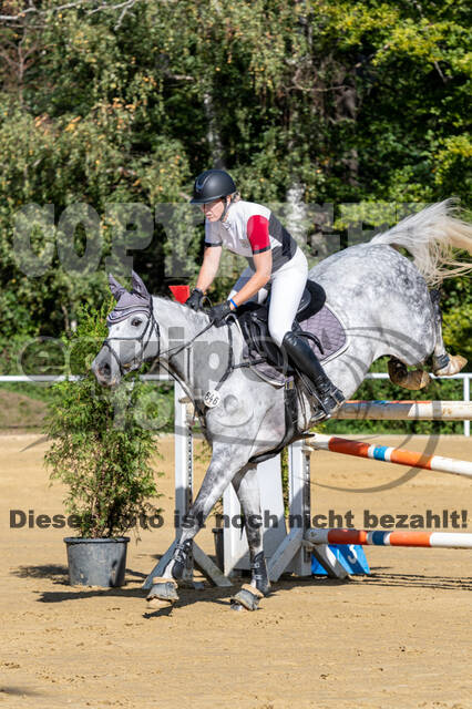 RFV Dinslaken-Hiesfeld (Herbstturnier)