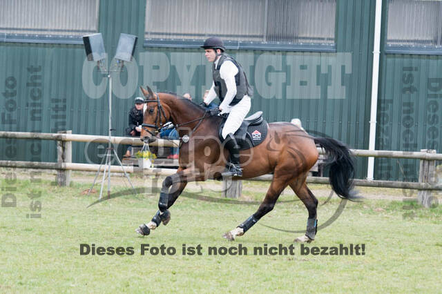 Jungpferdetag Hamminkeln