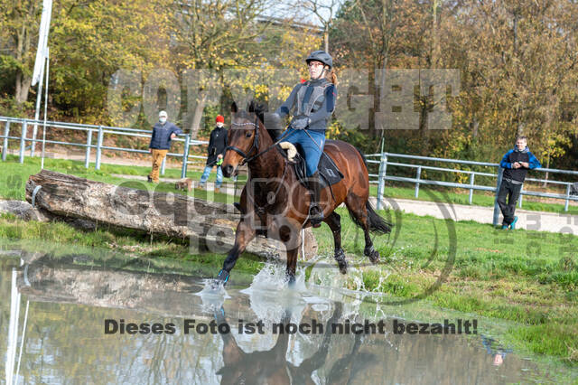 IGV Lehrgang der Sieger der Cups mit Frank Ostholt