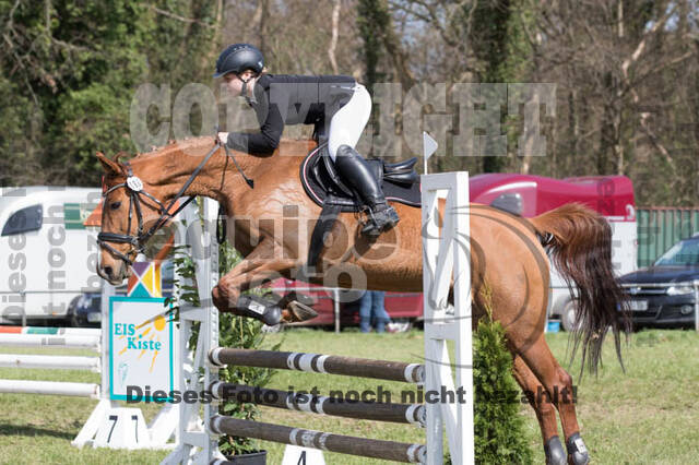 Frühjahrsvielseitigkeit RV Seydlitz Kamp