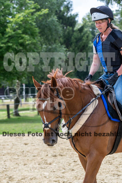 Hunter Geländetraining 10.07.2021 (Sonsbeck)