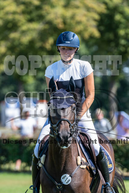 Kronenberg - De Peelbergen (August 2020)