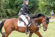 Late-Entry-Vielseitigkeit Langenfeld (11.+13./14.06.2020)