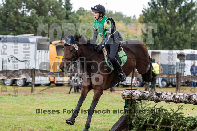 Vielseitigkeit RSV Wesel Obrighoven (26.+27.09.2020)