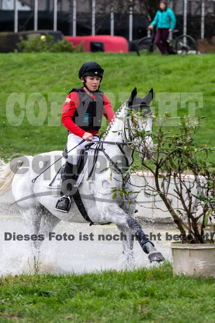 Goldene Schärpe 2020 - Pferde