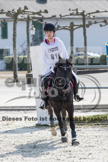Eventing Langenfeld 2018
