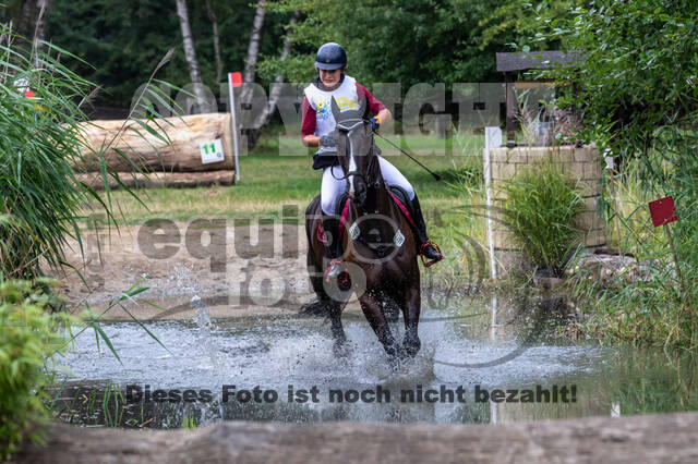 Late-Entry Vielseitigkeit Hamminkeln/Wesel (01.+02.08.2020)