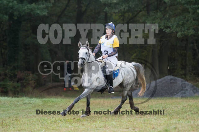 Vielseitigkeitsturnier RSV St. Hubertus Wesel Obrighoven