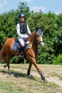 Goldene Schärpe 2021 - Ponys