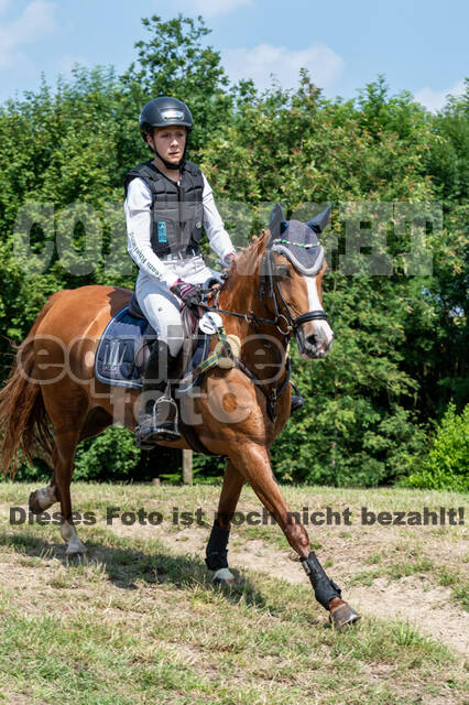 Goldene Schärpe 2021 - Ponys