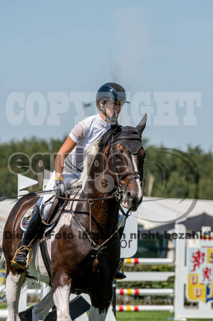 Kronenberg - De Peelbergen (August 2020)