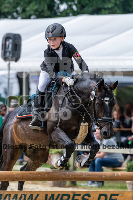 Goldene Schärpe 2021 - Ponys