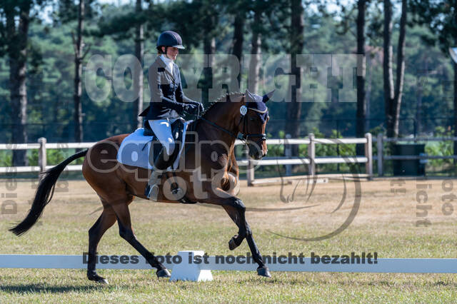 Kronenberg - De Peelbergen (August 2020)