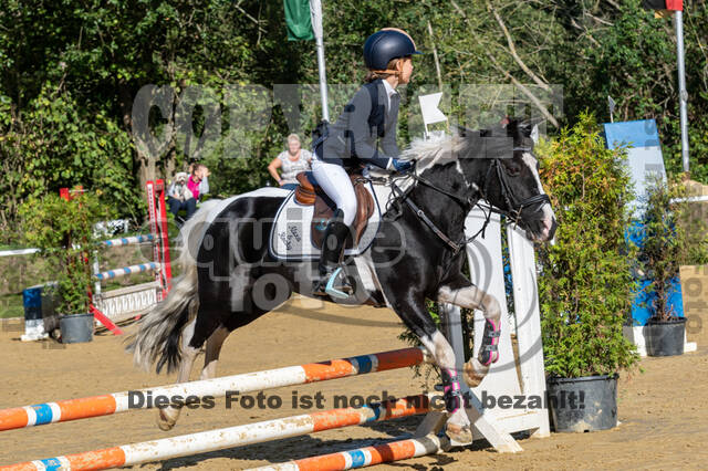 RFV Dinslaken-Hiesfeld (Herbstturnier)