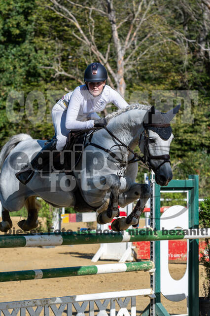 RFV Dinslaken-Hiesfeld (Herbstturnier)
